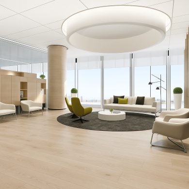 Bellissimo-Dub-alvio-6014-interier