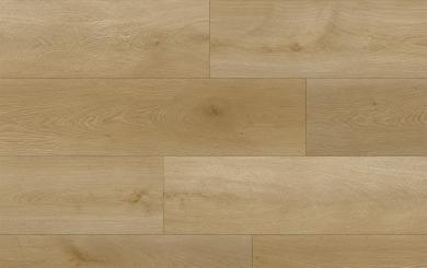 Guardian-Dub-Merion-653174-detail