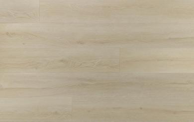 AMARON SUPERIORE CASS 233 DUB CHARLOTTE