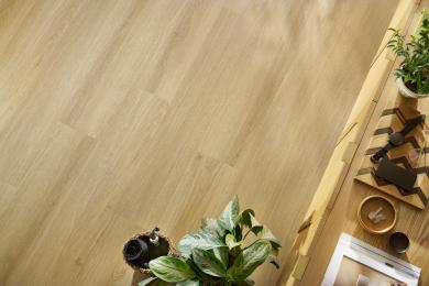 Arbiton-woodric-acoustic-dub-cordoba-cwa-305-interier