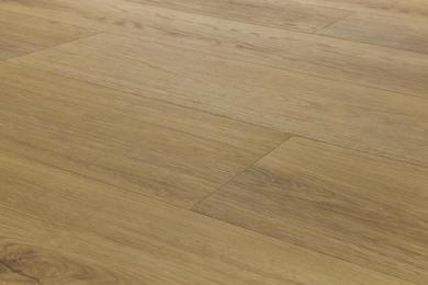 Arbiton-woodric-acoustic-dub-glenmore-cwa-300-detail2