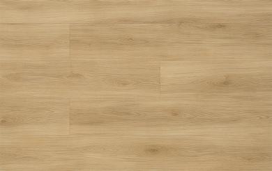 WOODRIC ACOUSTIC DUB GLENMORE CWA 300