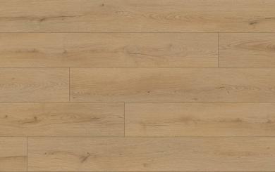 meta-dub-prime-detail