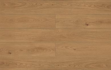 meta-dub-royale-detail